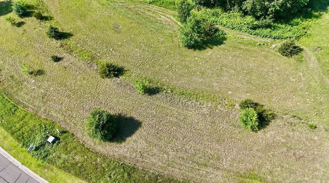 IMG_3040.jpeg | Image 10