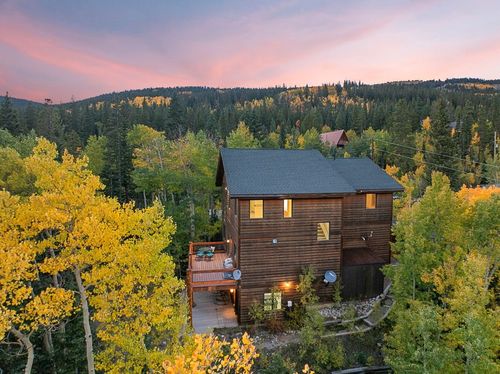 294 Mine Dump Road, ALMA, CO, 80440 | Card Image