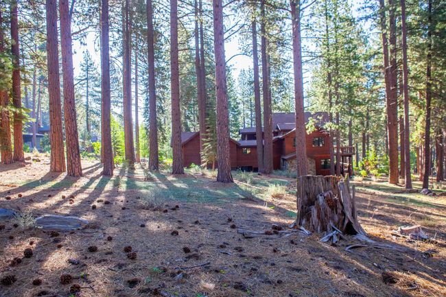 11561 Bottcher Loop, Home with 0 bedrooms, 0 bathrooms and null parking in Truckee CA | Image 20