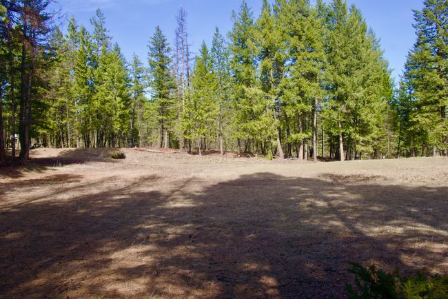 View of 2nd adjoining lot with a view of trees | Image 53