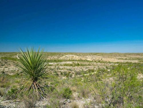 47 Rock House Rd, Dryden, TX, 78851 | Card Image