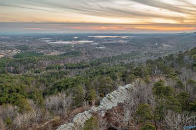 LOT 81 Mauney Lane, Home with 0 bedrooms, 0 bathrooms and null parking in Leesburg AL | Image 1