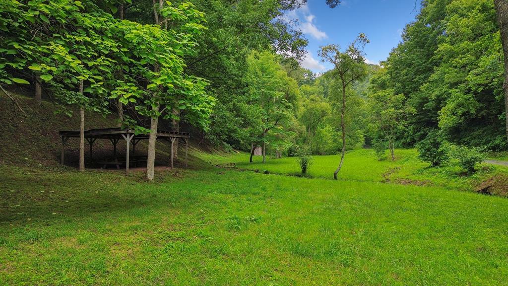 Land in Honaker 3
