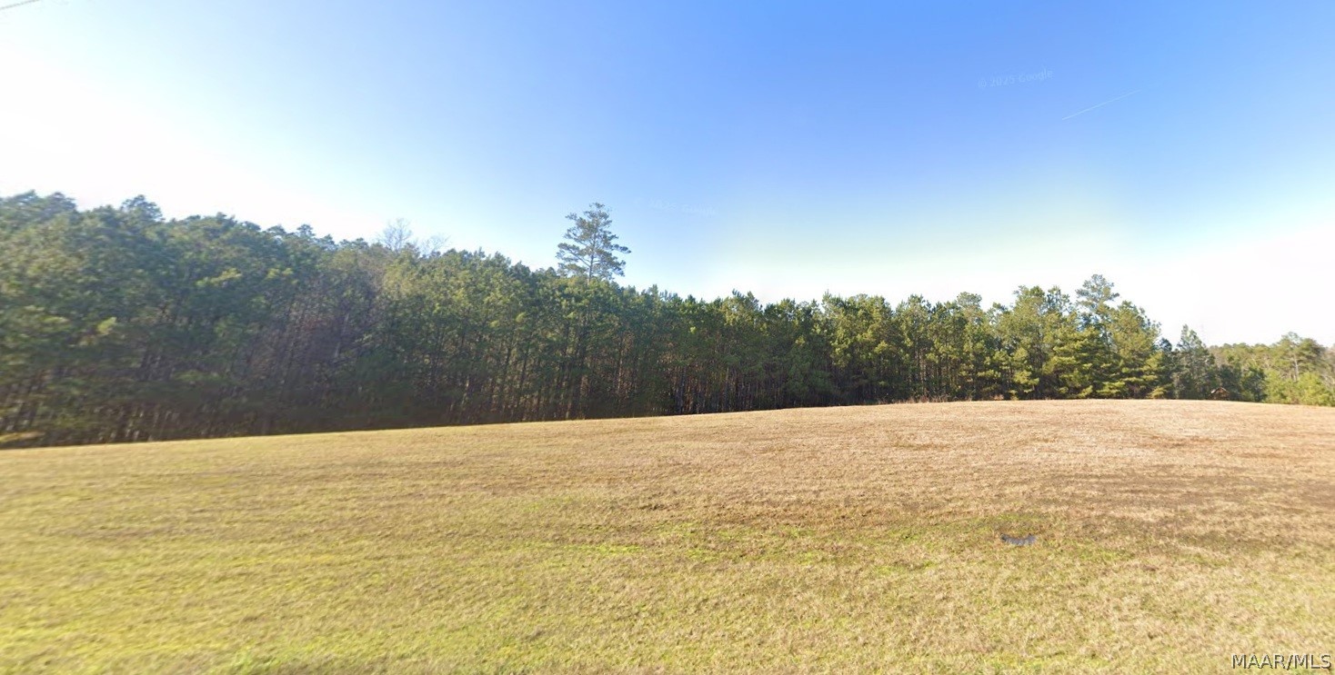 Land in Double Springs 4