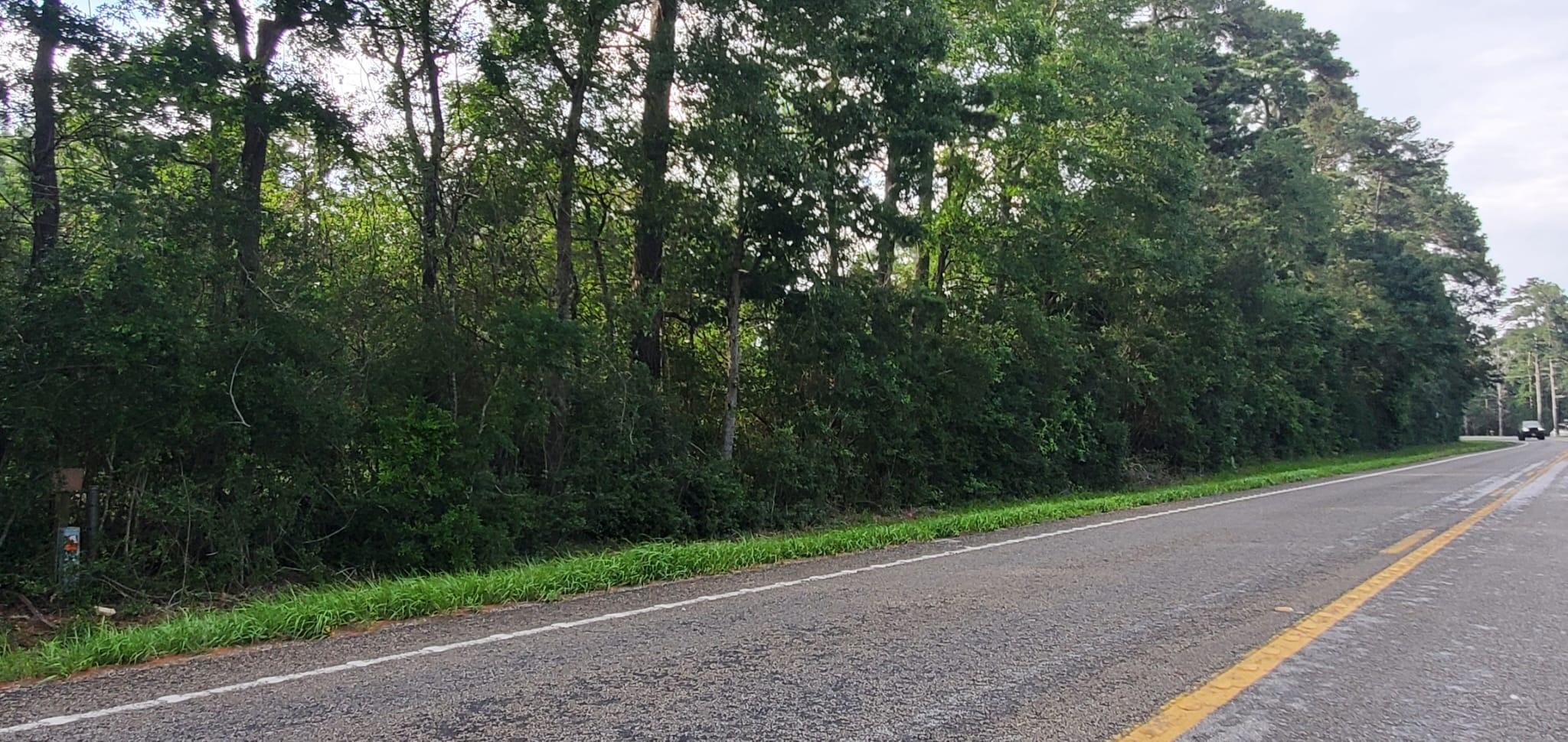 Land in Conroe 3