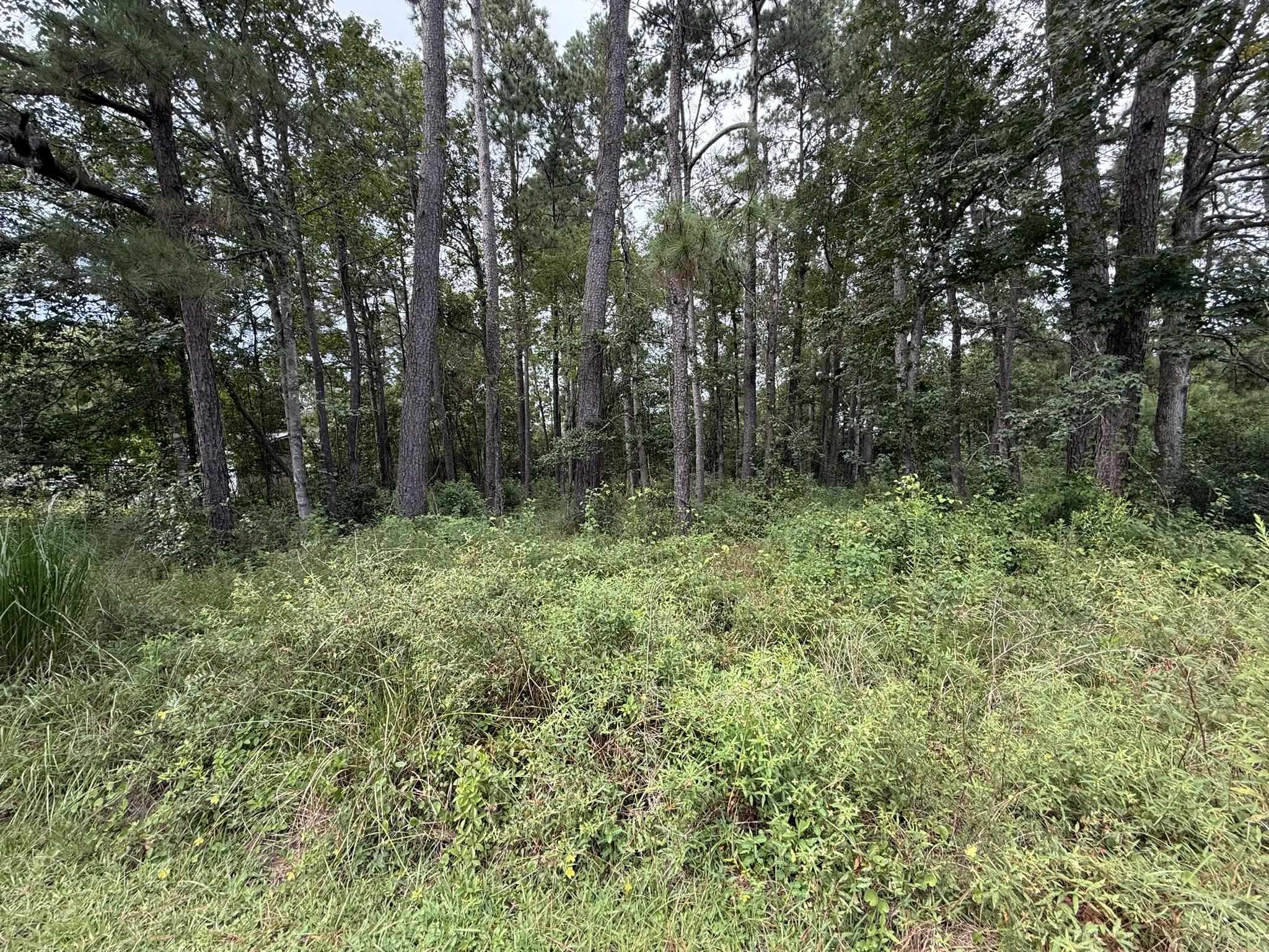 Land in Vidor