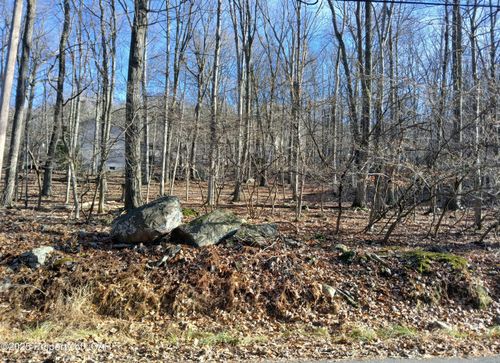 251 Bear Run Dr, DRUMS, PA, 18222-1204 | Card Image