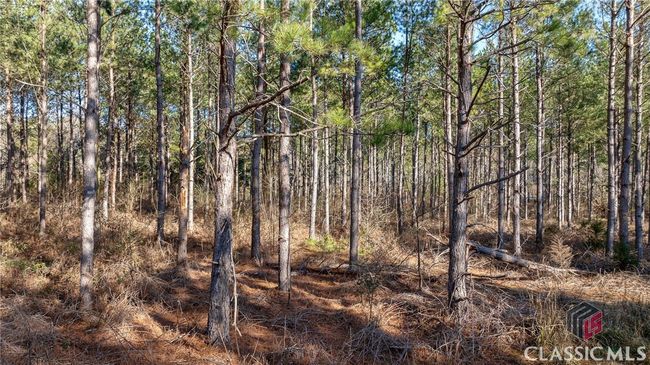 0 Hwy 77, Home with 0 bedrooms, 0 bathrooms and null parking in Lexington GA | Image 23