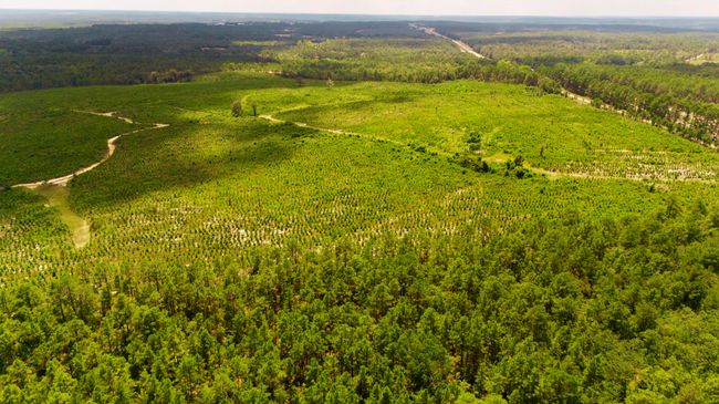 1 Three Notch Rd, Home with 0 bedrooms, 0 bathrooms and null parking in Monetta SC | Image 12