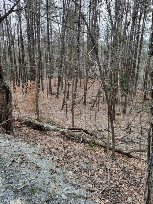 2 Parsonage Rd, Cornish, NH, 03745-4628 | Card Image