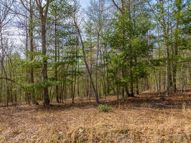 Lot 6 N Sunset Lane, Home with 0 bedrooms, 0 bathrooms and null parking in Bland VA | Image 27