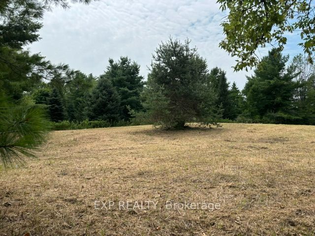 Residential in Alnwick/Haldimand 5