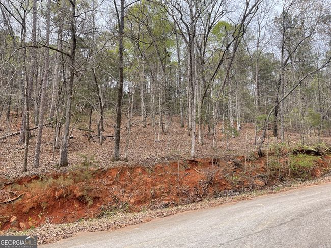 0 Green Oak Cir, Home with 0 bedrooms, 0 bathrooms and null parking in Thomaston GA | Image 35