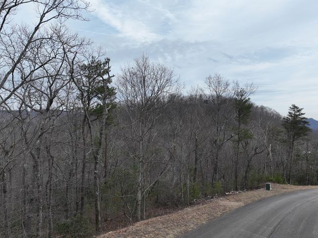 235 Andes Rdg, Home with 0 bedrooms, 0 bathrooms and null parking in Ellijay GA | Image 19
