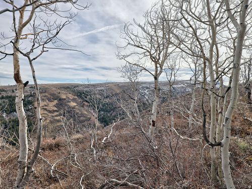 1 See Directions, Scofield, UT, 84526 | Card Image