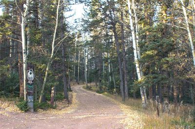 Beautiful treed driveway to cabin | Image 3