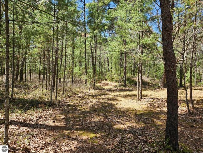 3767 N Us Highway 23, House other with 4 bedrooms, 3 bathrooms and null parking in Oscoda MI | Image 18