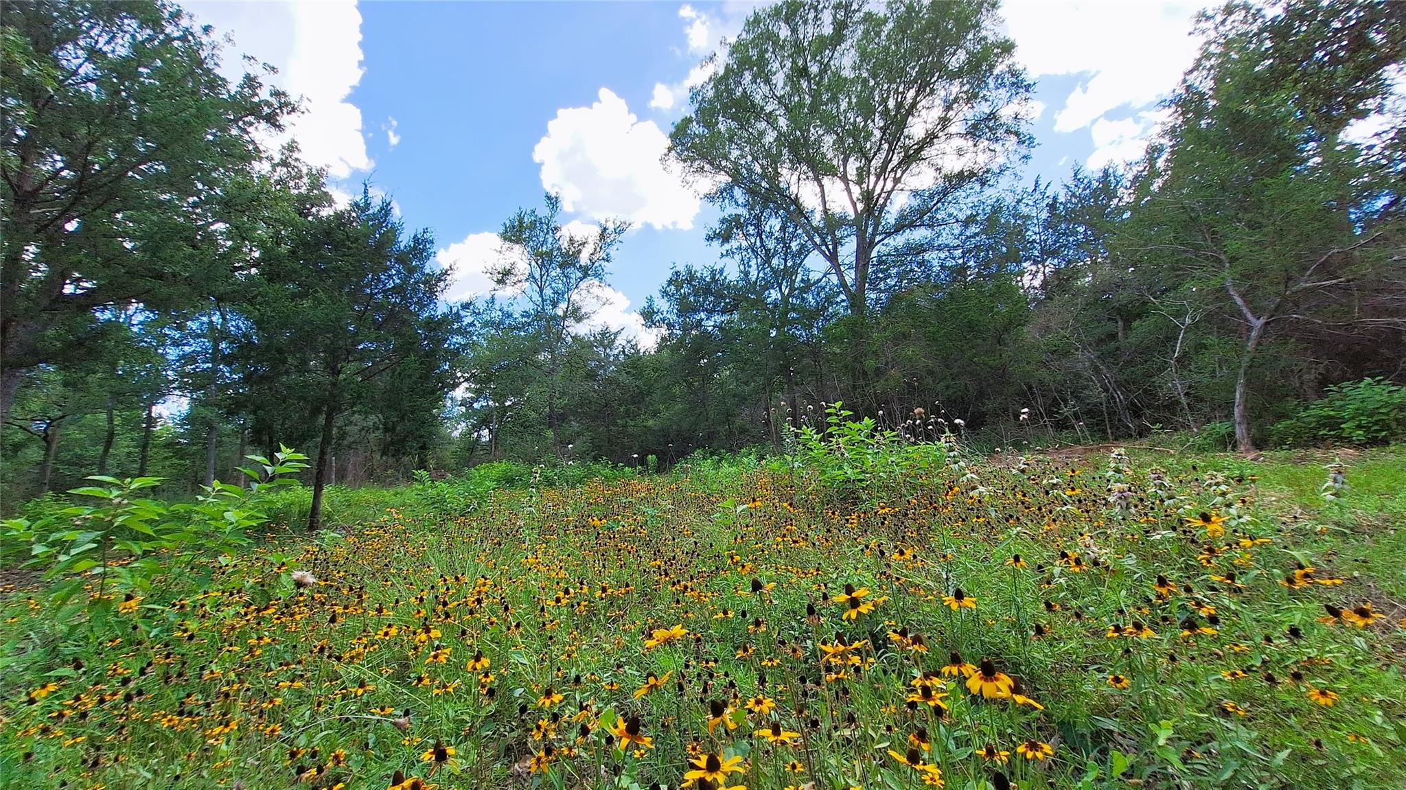 Land in Caldwell