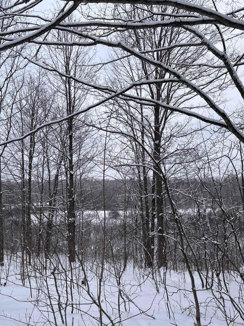 VL 10 Lake Louise Road, Inland Township, MI, 49643 | Card Image