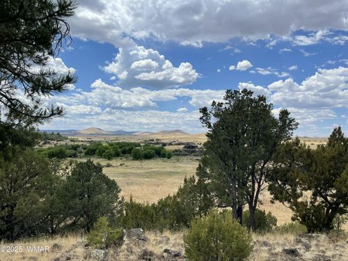 TBD Spanish Trl, Eagar, AZ, 85925 | Card Image