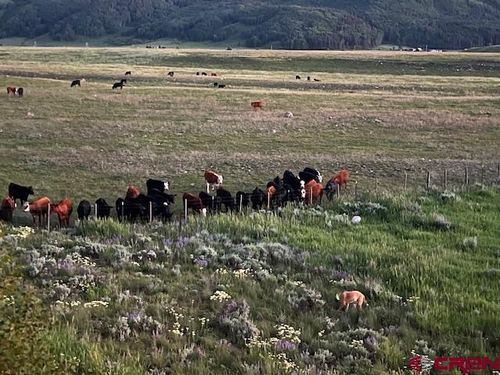 88 Bridle Spur Way, Crested Butte, CO, 81224 | Card Image