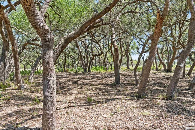 TRACT 12 Lew Dele Lane, Home with 0 bedrooms, 0 bathrooms and null parking in Blanco TX | Image 8