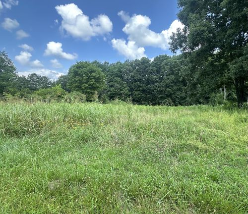 0 White Oak Dr, Leoma, TN, 38468 | Card Image