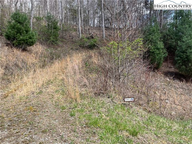 4 Sugar Hill Ln, Home with 0 bedrooms, 0 bathrooms and null parking in Sugar Grove NC | Image 6