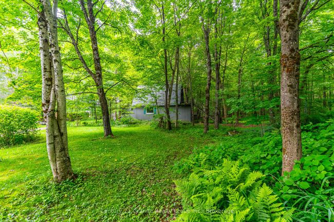 1553 Kushog Lake Rd, House other with 3 bedrooms, 1 bathrooms and 10 parking in Algonquin Highlands ON | Image 30