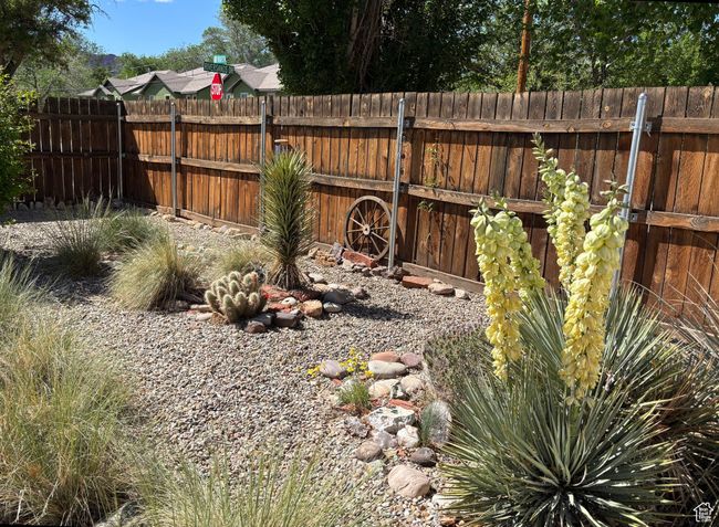 Native, easy care landscaping. | Image 44
