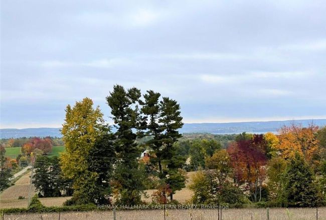 1300 David Fife Line, House other with 5 bedrooms, 3 bathrooms and 5 parking in Keene ON | Image 15