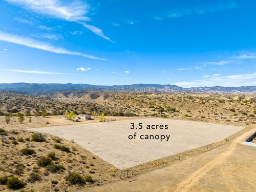 262 Castro Canyon Road, CUYAMA, CA, 93252 | Card Image