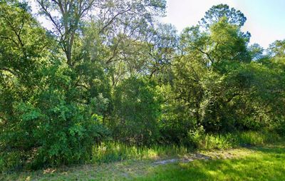 Se 105 Place, Home with 0 bedrooms, 0 bathrooms and null parking in Ocklawaha FL | Image 1