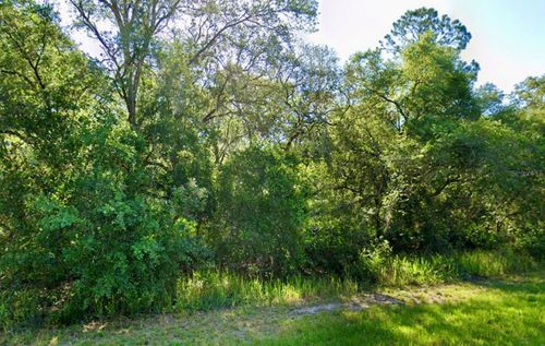  Se 105 Place, Ocklawaha, FL, 32179 | Card Image