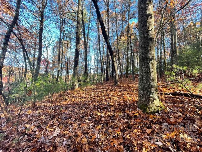 4 - 9999 Sassafras Ln, Home with 0 bedrooms, 0 bathrooms and null parking in Cedar Mountain NC | Image 11