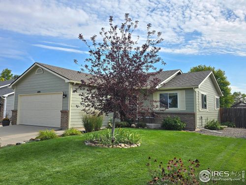 1091 S Olive Ave, Milliken, CO, 80543-9174 | Card Image