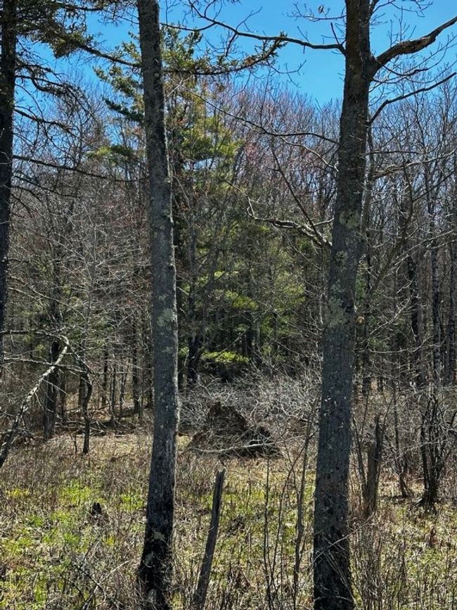 Lot 2 North Road, Home with 0 bedrooms, 0 bathrooms and null parking in Jefferson NY | Image 6