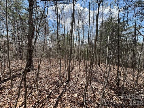 21-192 Pine Cone Trl, Marshall, NC, 28753 | Card Image
