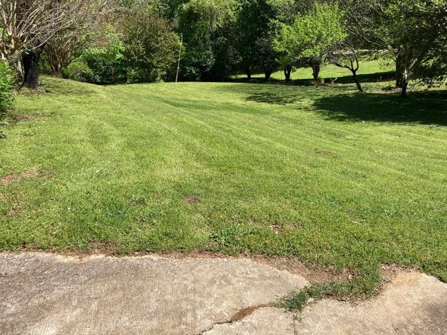 221 8 Th St Ne, House other with 3 bedrooms, 2 bathrooms and null parking in Red Bay AL | Image 27