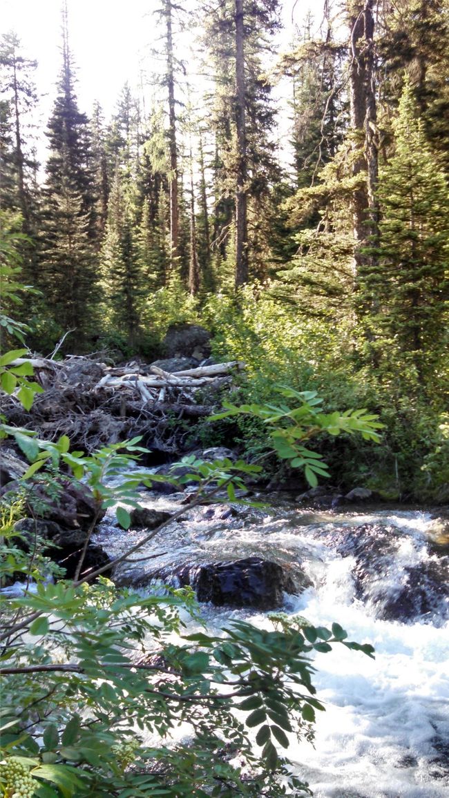 On a hiking path to a nearby waterfall | Image 22