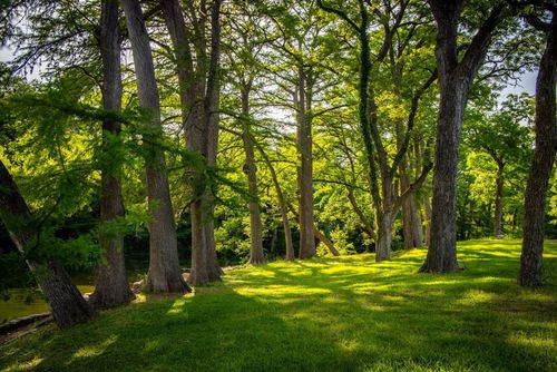 1106 Hillcrest Dr, New Braunfels, TX, 78130-3444 | Card Image