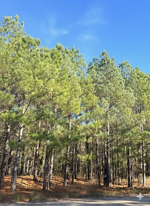 8 Sugarberry Trl, Broken Bow, OK, 74728-2782 | Card Image