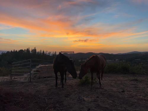 6165 Starlight Ln, Mountain Ranch, CA, 95246-9623 | Card Image