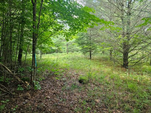 9907 Olympic Trl, Piercefield, NY, 12973 | Card Image