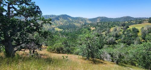 1 Lazy L Summit Lane, Coarsegold, CA, 93614 | Card Image