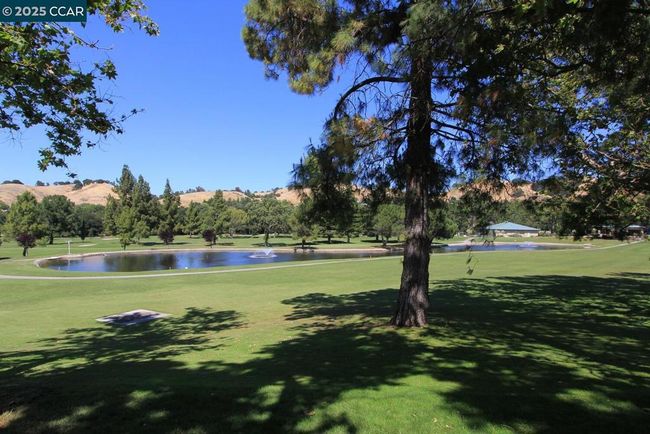 APT-2 - 1129 Leisure Ln, Condo with 2 bedrooms, 1 bathrooms and 1 parking in Walnut Creek CA | Image 52