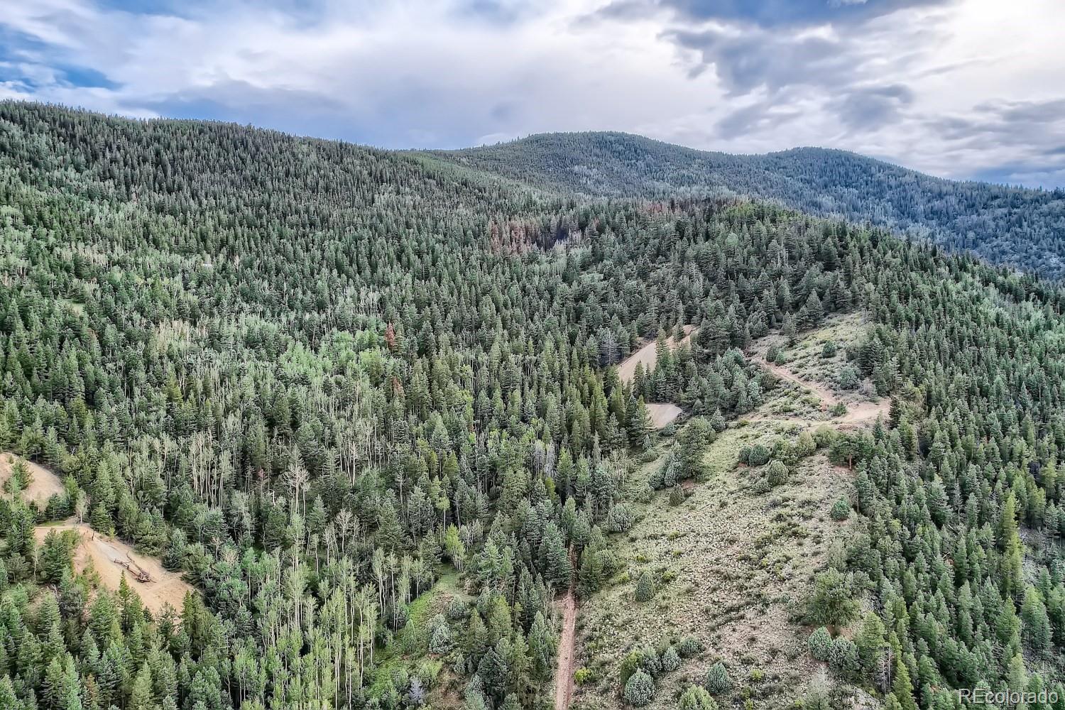 Land in Dumont 5