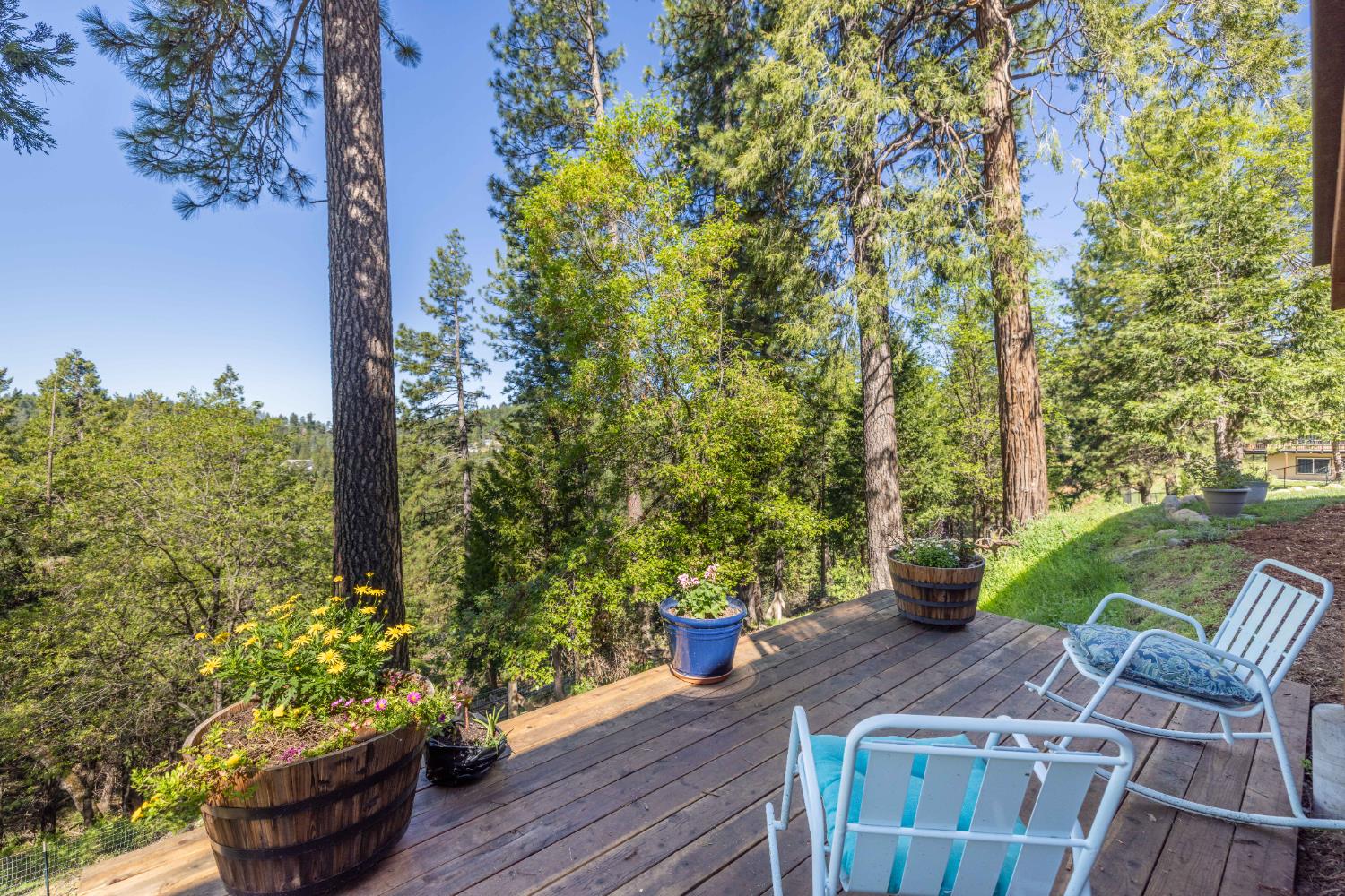 Residential in Pollock Pines 3