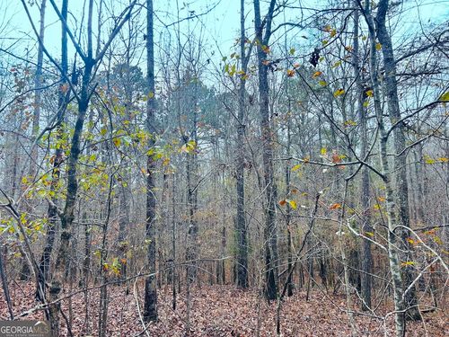 lot-2-0 Hopeful Rd, Munford, AL, 36268 | Card Image
