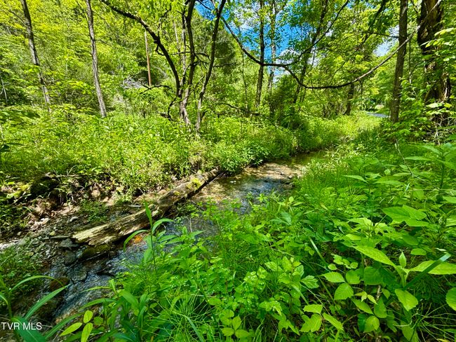 47 Tbd Enoch Rd, Home with 0 bedrooms, 0 bathrooms and null parking in Eidson TN | Image 12